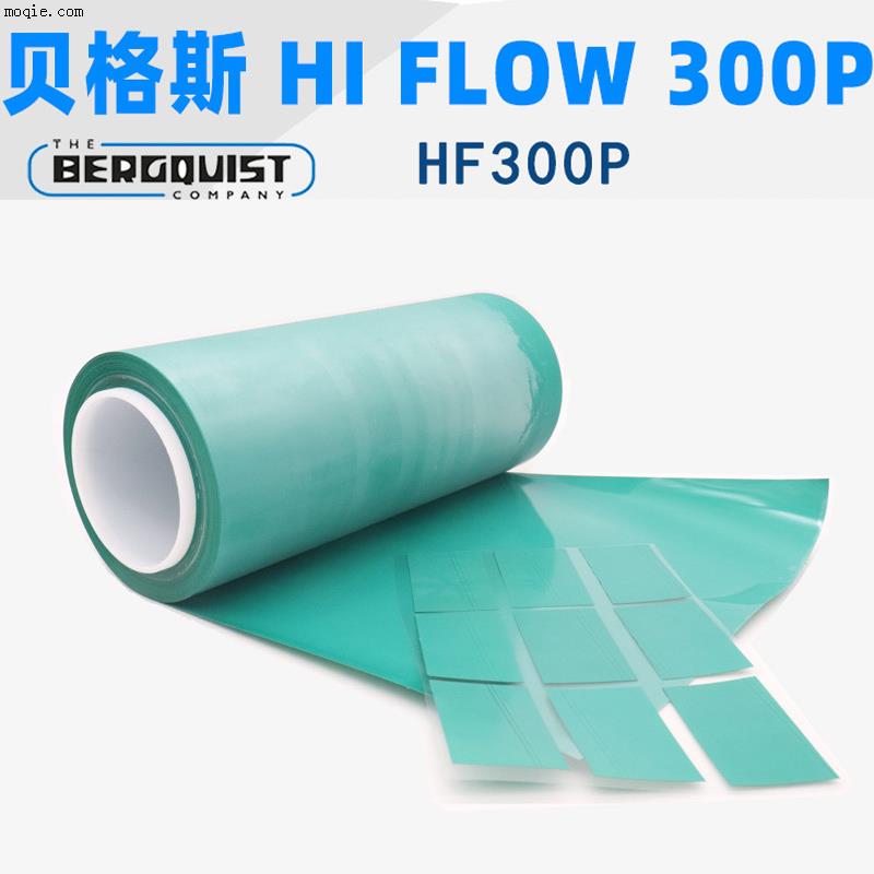 贝格斯Hi Flow 300P